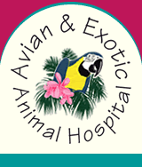 Avian & Exotic Animal Hospital