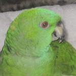 IMG_3651