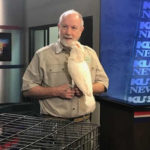 Dr. Jeff Jenkins on KUSI Pet Patrol