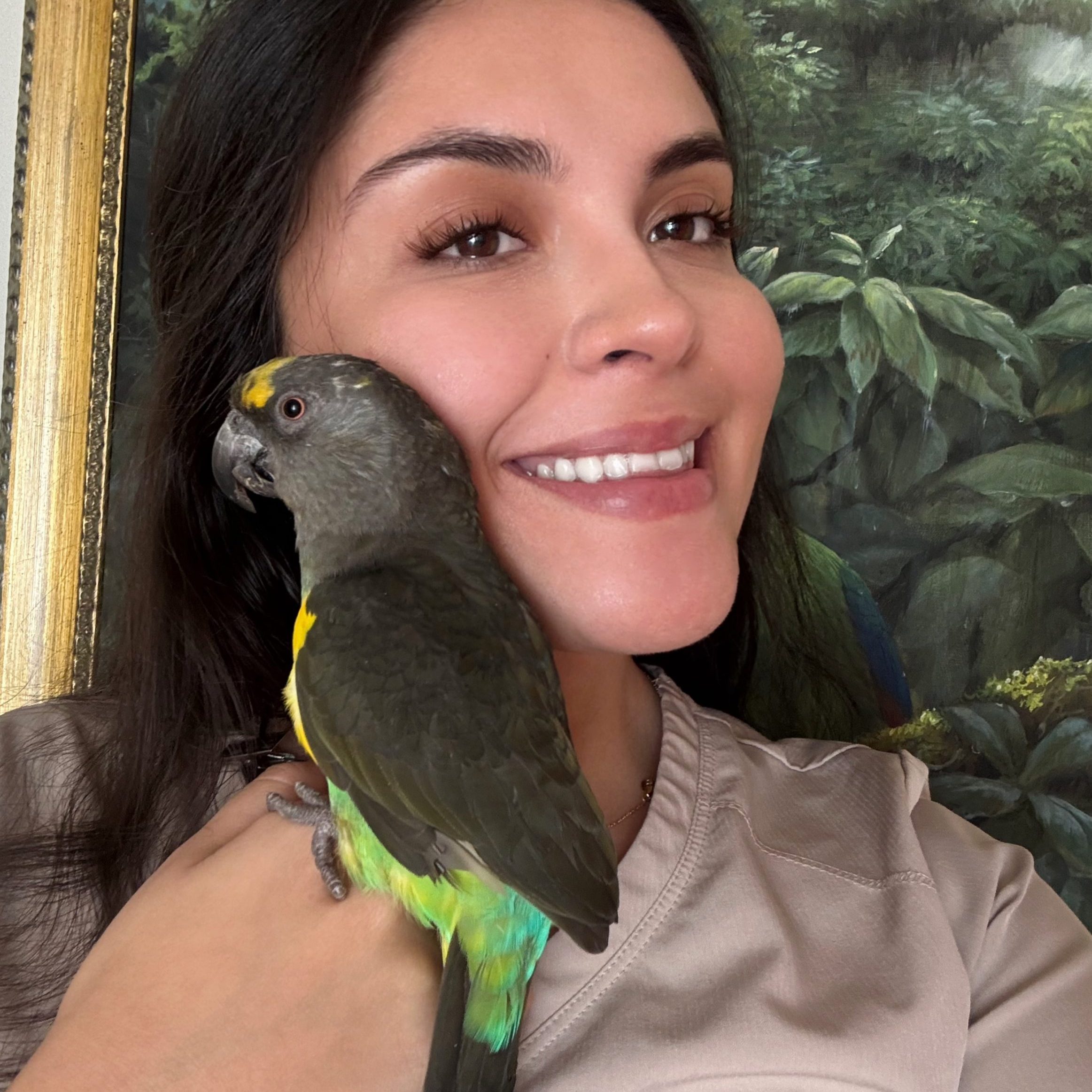 1234DA96-C1ED-49F6-8AAE-F6F34BD773D7